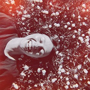 Alix Denavit